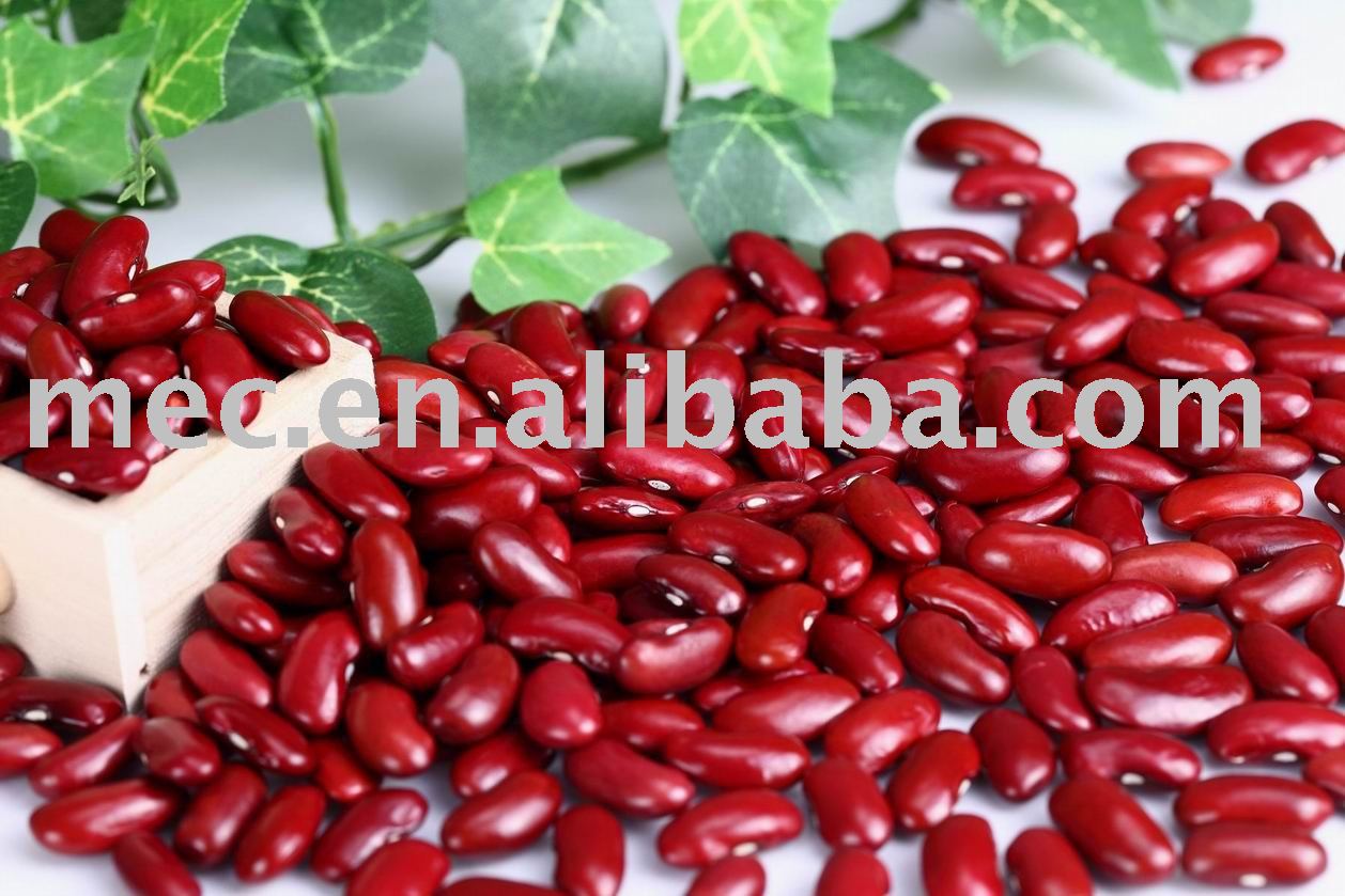 Kidney Beans