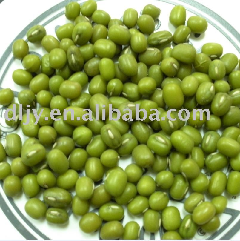 New Crop Chinese Small Green Mung Bean products,China New Crop Chinese