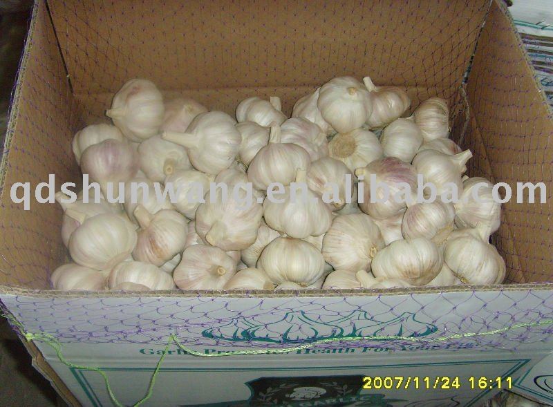 Fresh Pure White Garlic China Sw Price Supplier Food