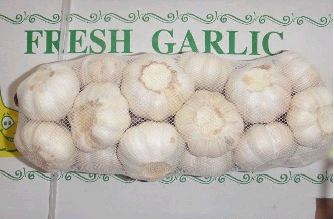 salted garlic cloves