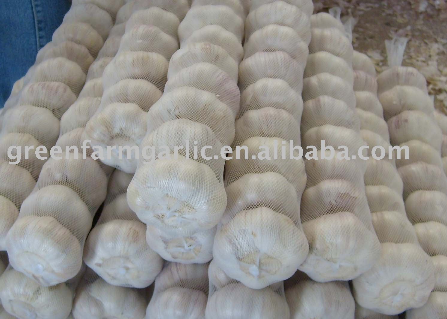 Fresh Pure White Garlic Packed In Small Mesh Bags China GREENFARM Price