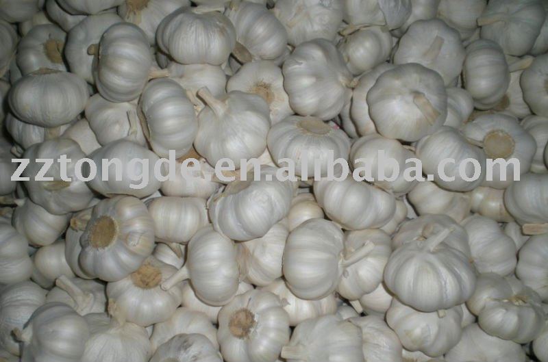 Pure White Garlic China Tongde Price Supplier Food