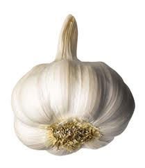 Big Garlic