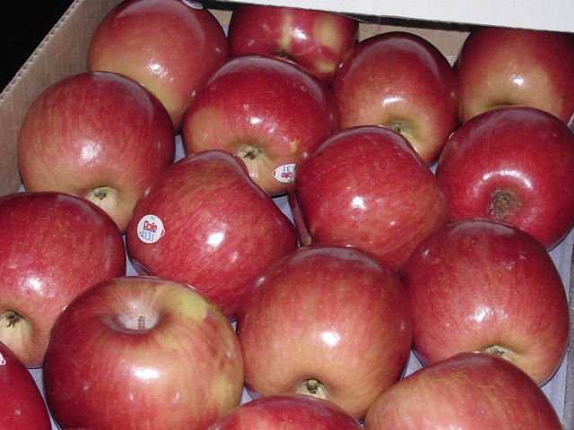 washington fuji apples