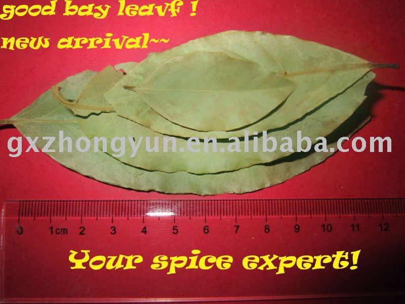 Spice Leaf
