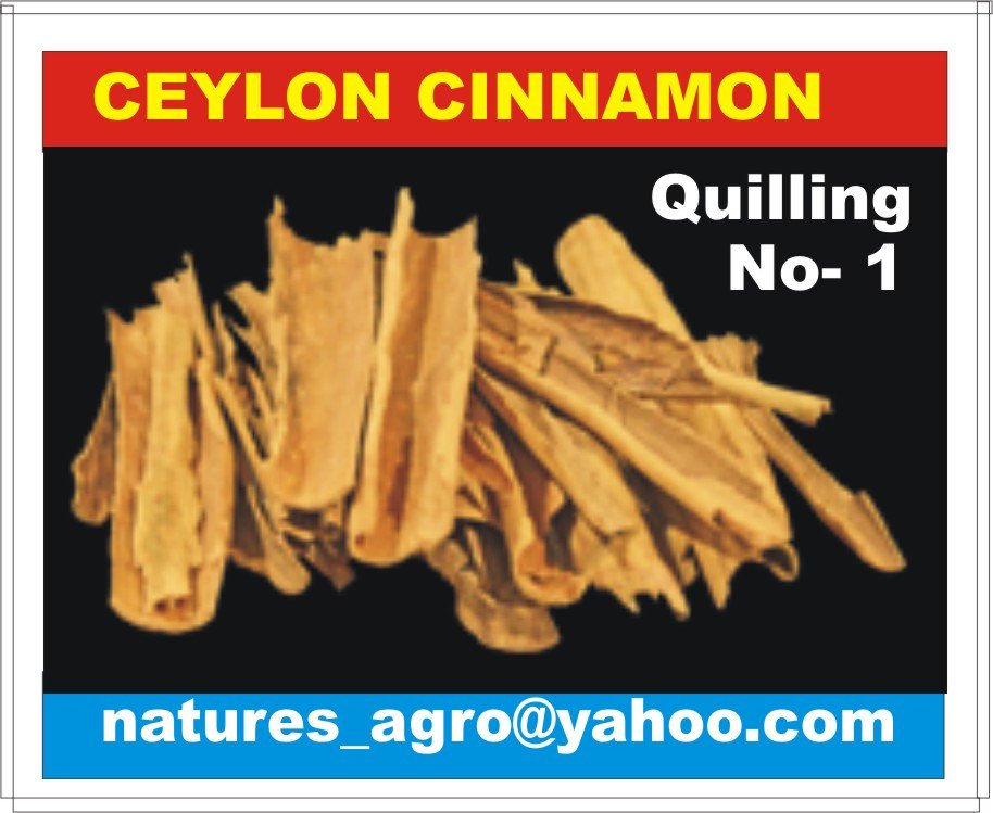 Sri Lankan Cinnamon