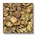 Harad+terminalia+chebula