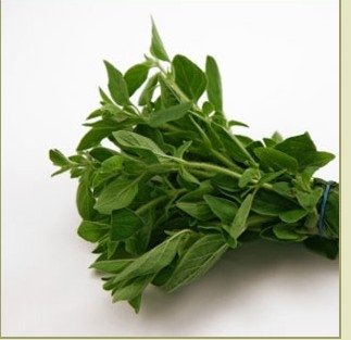 Markese - Oregano Markese - Oregano