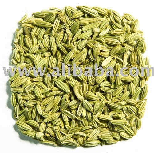 fennel seeds in tamil suppliers,exporters on