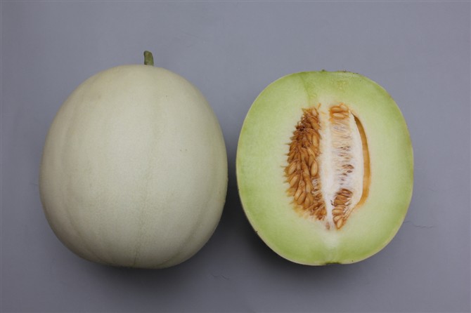 sweetmelon seed