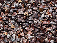 buckwheat