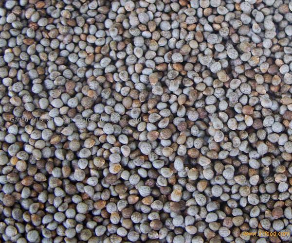 perilla-seed-products-china-perilla-seed-supplier