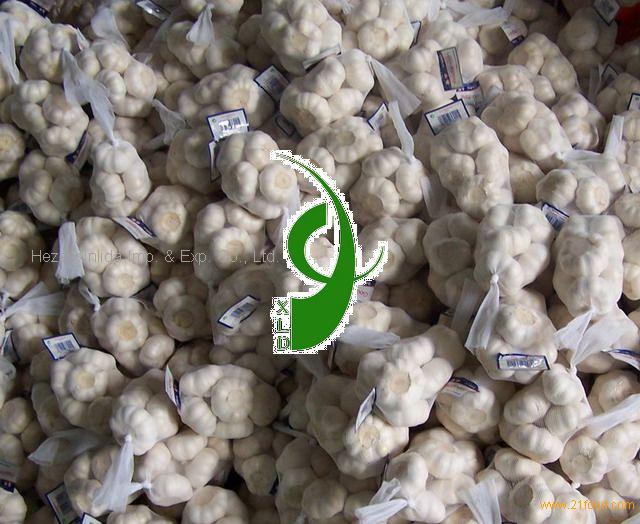 Pure White Garlic G Net China Xld Price Supplier Food