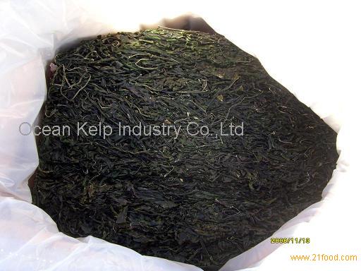 Shredded Kelp