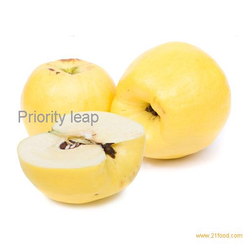 Types+Of+Yellow+Apple's Types Of Yellow Apple's http://www.21food.com/products/yellow-apple ...