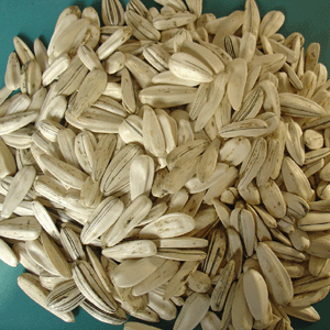 Sunflower Seed Pictures