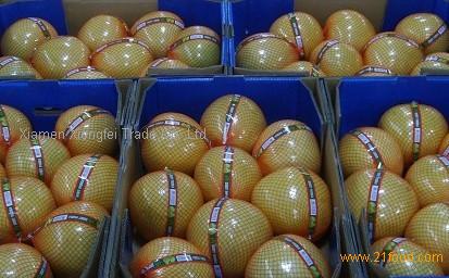pomello strain pomello strain