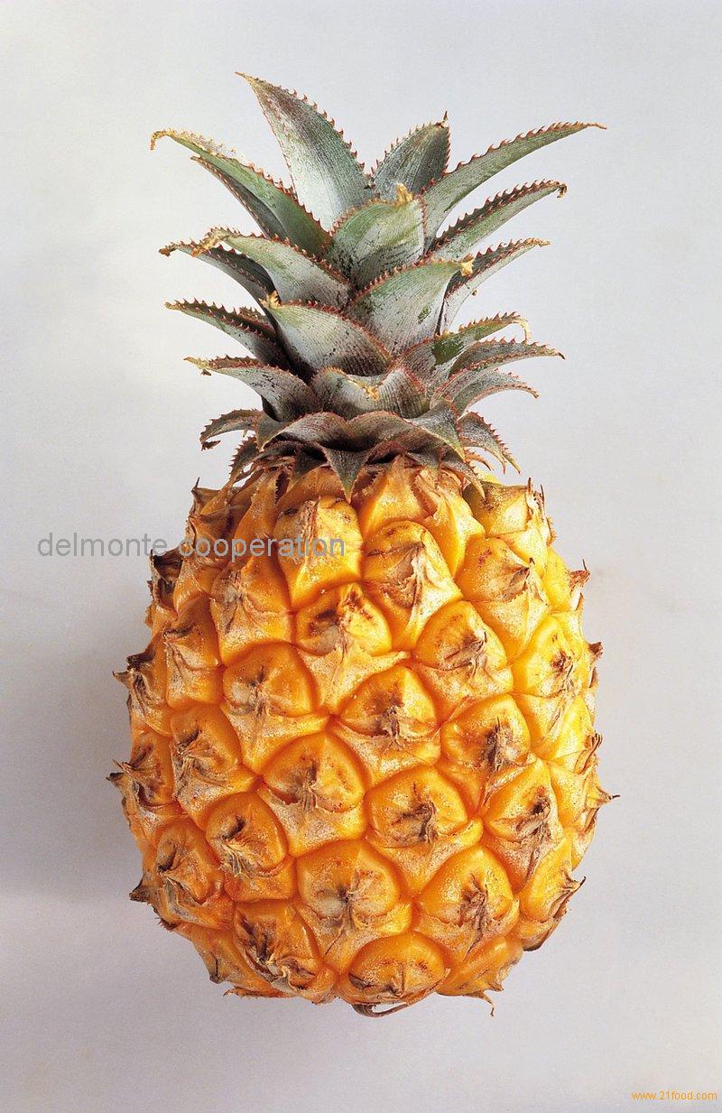 Large Pineapple