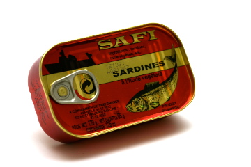 Sardine In Oil