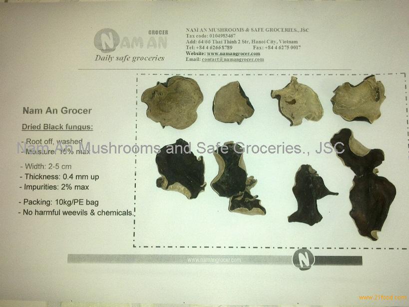 Black fungus: ( kikurage, mo-ei, wun yee, kuping tikus, cendawan telinga kera, hed hunu, wood ear )