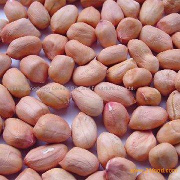 New Crop Chinese Groundnut Kernel China Zhongsheng Price Supplier Food