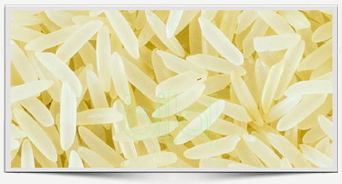 SUPER BASMATI
