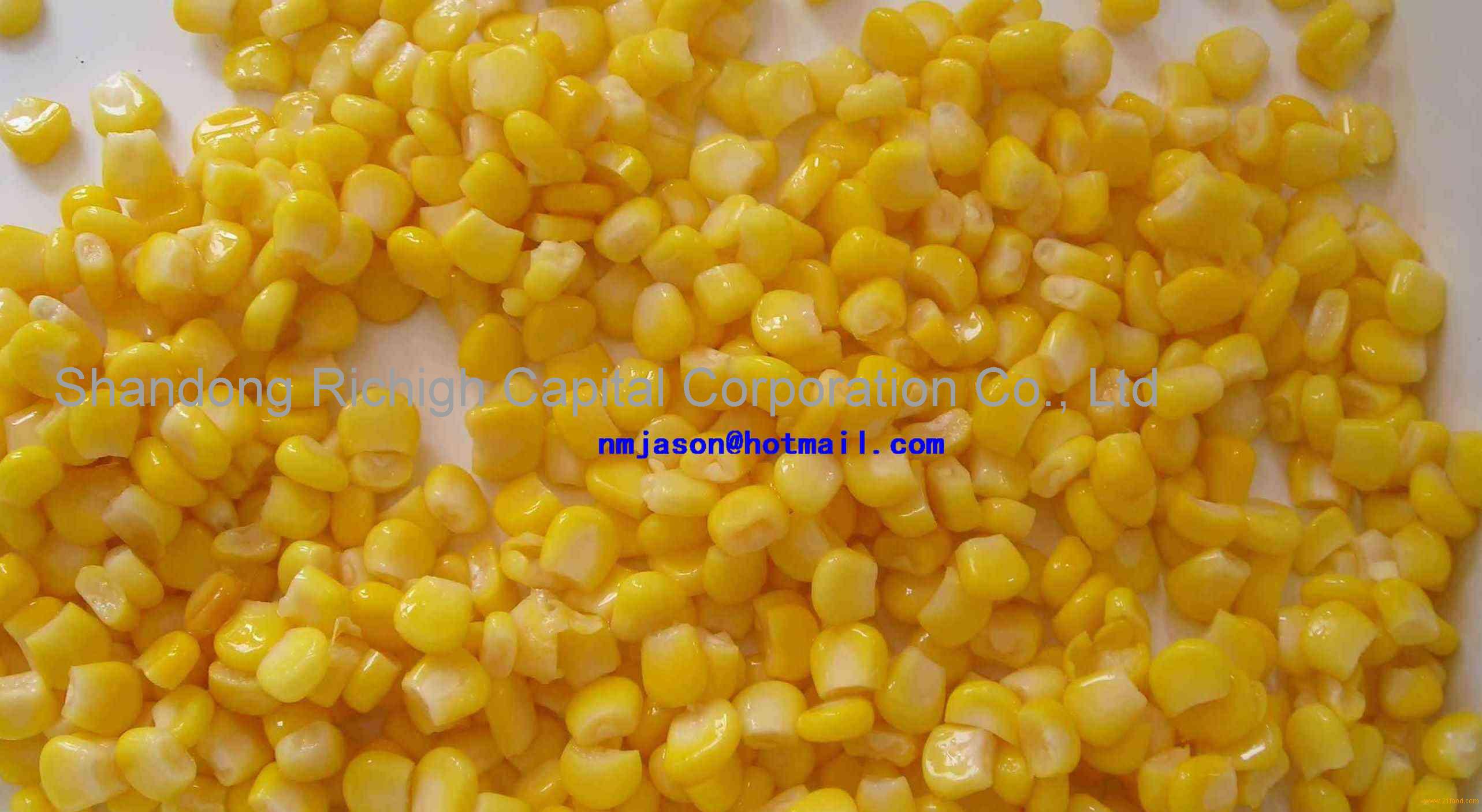 Canned Sweet Corn Products,China Canned Sweet Corn Supplier