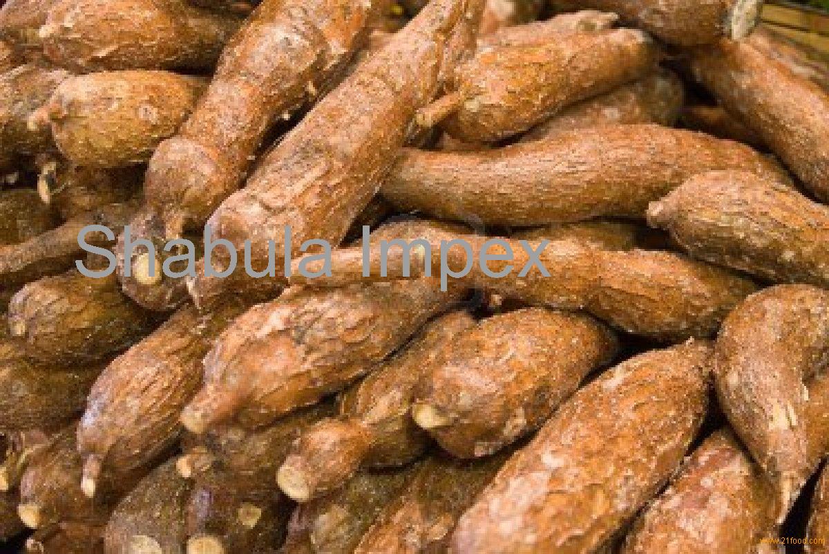fresh cassava products,South Africa fresh 