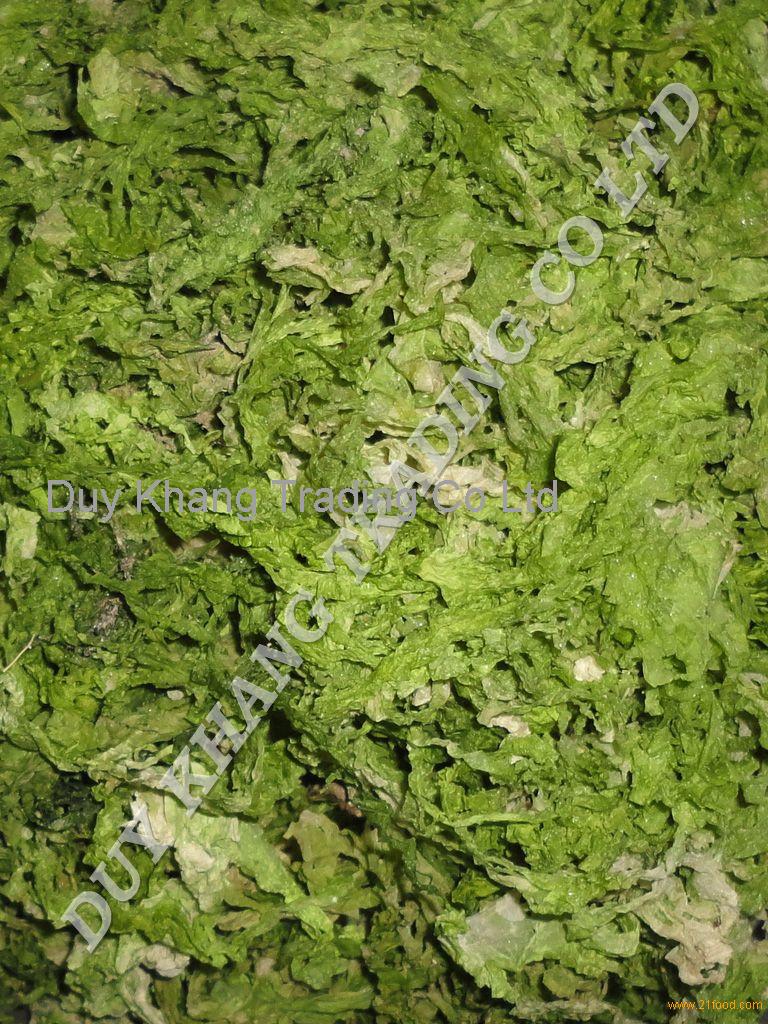 seaweed ulva sea lettuce 12