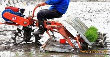 Rice planting or price supplier - 21food