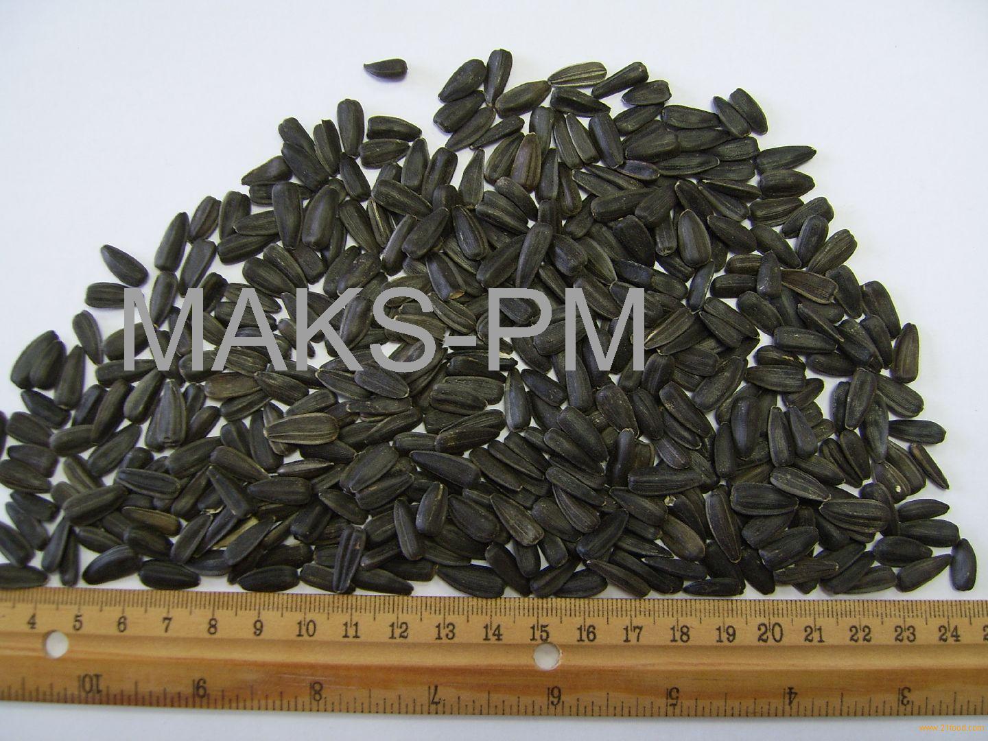 black sunflower seeds for humans black sunflower seeds inshell products bulgaria black sunflower seeds inshell supplier black sunflower seeds for humans black sunflower seeds inshell products bulgaria black sunflower seeds inshell supplier