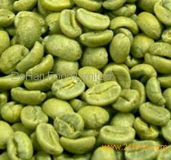 Milk And Coffea - Yellow Butterfly Milk And Coffea - Yellow Butterfly