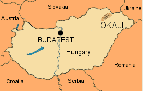 2 million bottles of Hungarian Tokaji wine