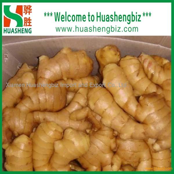 Best fresh ginger