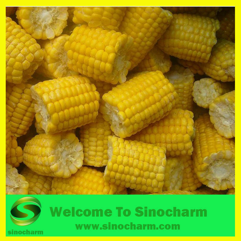 Iqf Sweet Corn Cob Frozen China Sinocharm Price Supplier Food