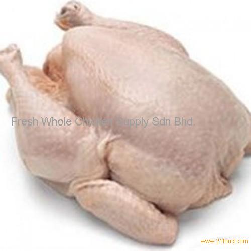 Frozen Chicken Full Kg Malaysia Frozen Chicken Full Kg Price