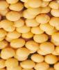 long-term supply soybean