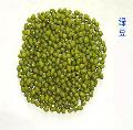 long-term supply mung bean and another agricultural productions