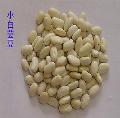 long-term supply all kinds of agricultural productions