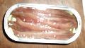 Canned Mackerel