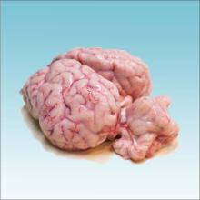 Brain - Buffalo - Offals