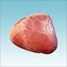 Heart - Buffalo - Offals