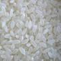 Camolino Rice