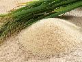 high quality rice