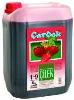 STRAWBERRY CONCENTRATE JUICE 5-35Lt.
