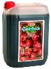 APPLE CONCENTRATE JUICE 5-35Lt.
