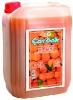 APRICOT CONCENTRATE JUICE 5-35Lt.