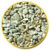 Fine Bird Food
