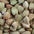Sell Hulled Buckwheat