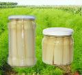 Canned White Asparagus (212ml)
